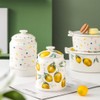 WAIT FLY Ceramic Tea Caddy Tea Canister Large Capacity Food