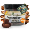 Zite Fishing Trout Mallows Trout Bait, High Catching Trout Dough,