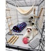 HEUHAI 10-Pack Ferret Bell Ball Toys, Non-Toxic PP, Hollow Chew
