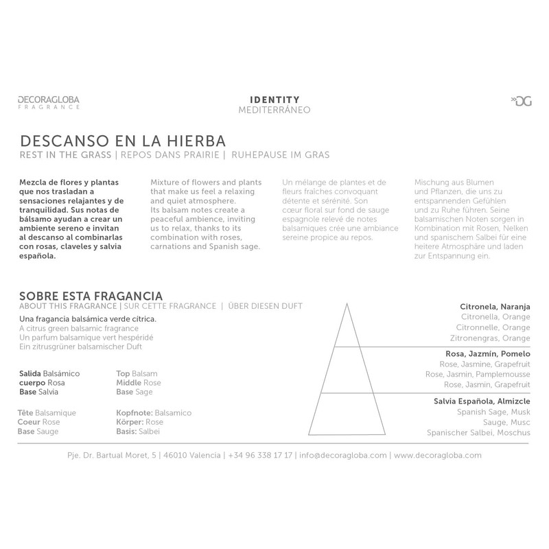 Decoragloba Descanso en la Hierba Mikado Air Freshener, Colourless, 100