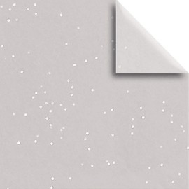 Jillson Roberts 20" x 26" Gemstone Gift Tissue, Silver (48 Folded Sheets)