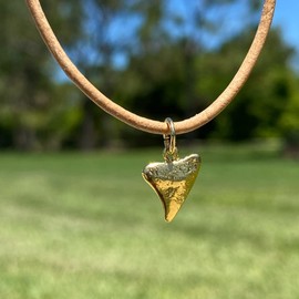 Shark Tooth Necklace - Men Surfing Waterproof, Hawaii Jewelry, Hawaiian Vibes, Women Cute Choker, Beach Aesthetic Accessories, Summer Boho Gifts, Gold Mens Gifts, Silver Boys Pendant (Gold)