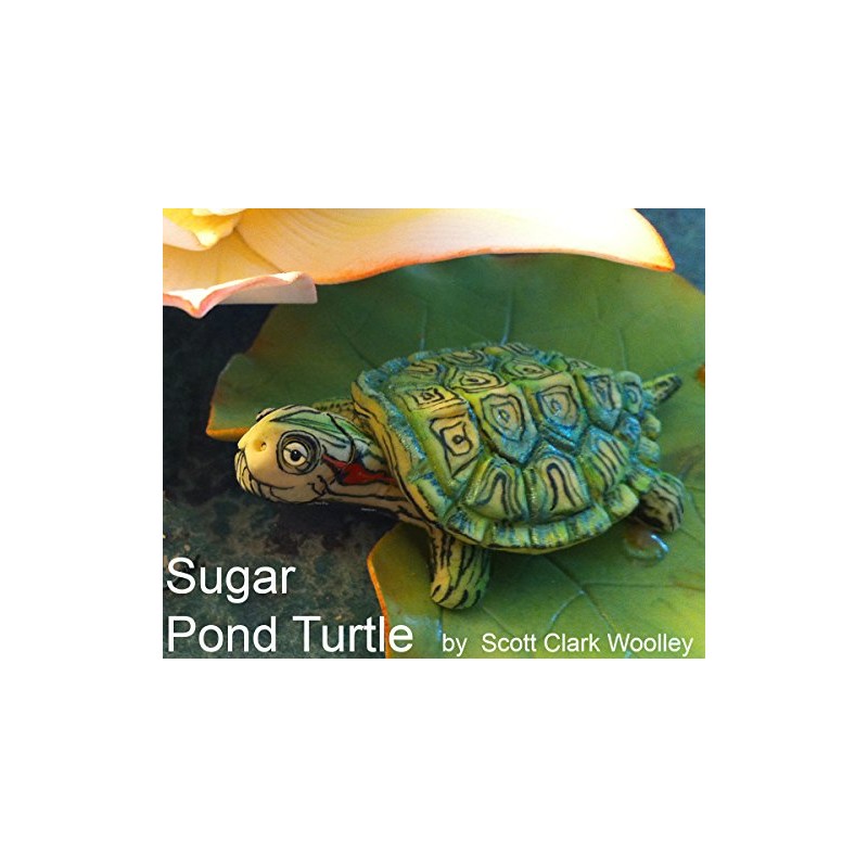 Scott Clark Woolley Pond Turtle Silicone Mold