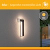 Paulmann Outdoor Solar House Number 1 3000 K IP44 Akk