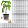 Yaocom 80 Pcs 1 Gallon Gopher and Vole Wire Mesh