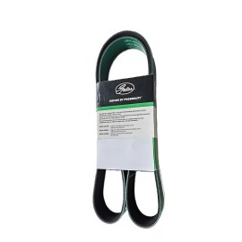 Gates short HD green belt for 2.60 2.65 2.70 supercharger pulley 2015-25 Hellcat