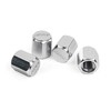 APR MS100178 Valve Stem Caps - Silver