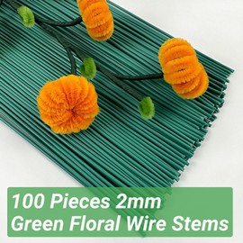 Penbin 100 Pieces 2mm Green Floral Wire Stems - 12 Inch/30cm Flexible & Strong Florist Wire for Flower Arranging, Wreath Making, DIY Crafts (Non-Rust, Bulk Pack)