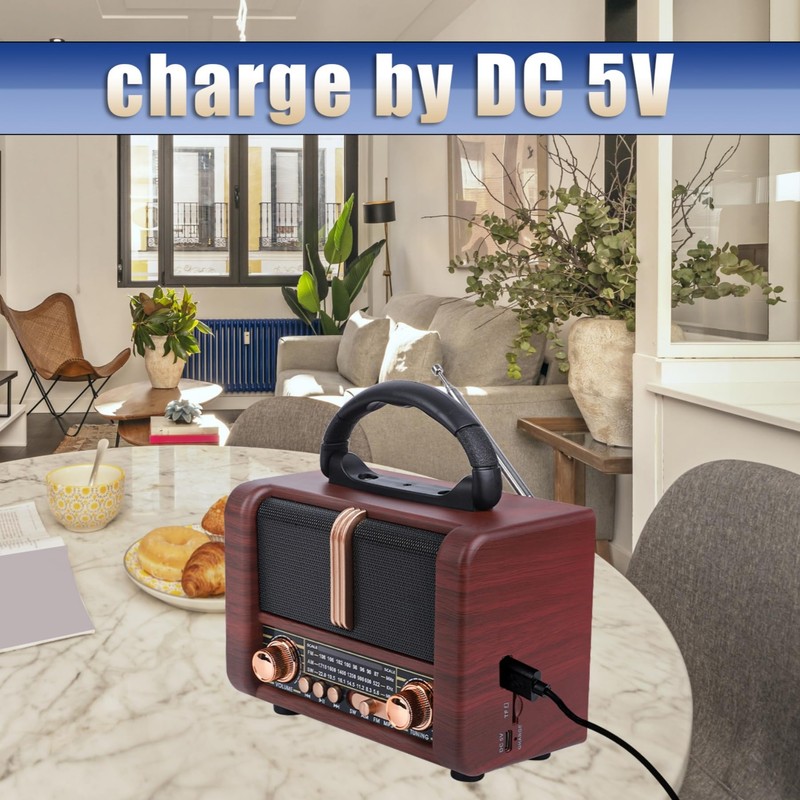 T.TAOMI Retro Portable Radio AM FM SW 3 Band,USB Charging,