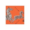 Caspari Zebras Orange Boxed Cocktail Napkins - 40 Per Box,