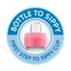 Dr. Brown's Anti-Colic Options+ Narrow Sippy Bottle Starter Kit, 8oz/250mL,