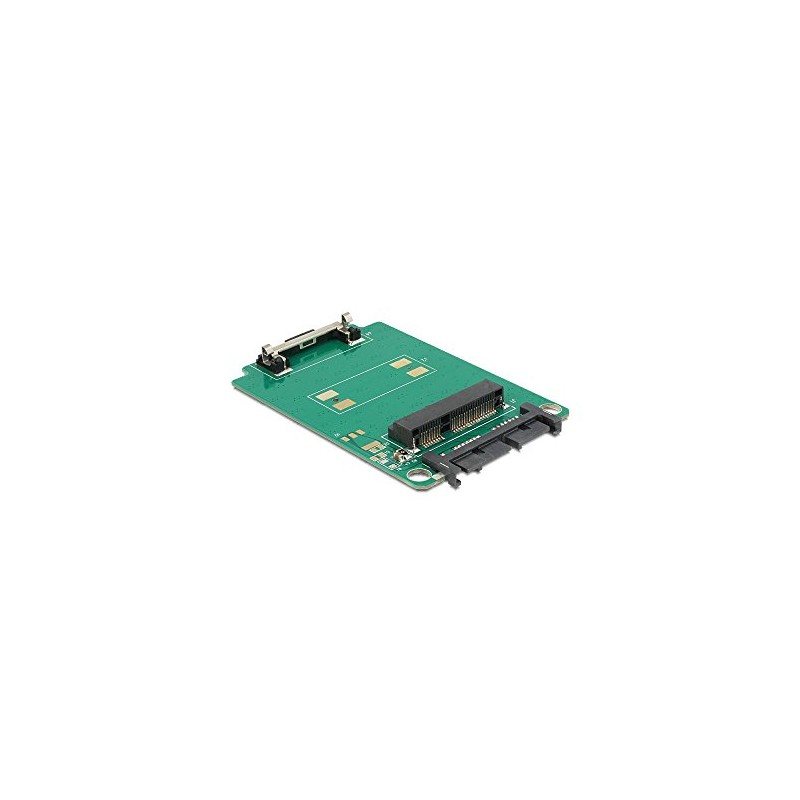 DeLock Converter Micro SATA 16 Pin > mSATA Full Size
