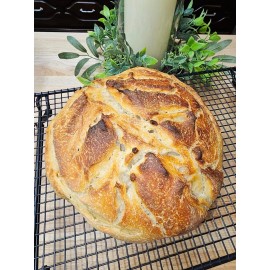 Cherished & Free SOURDOUGH STARTER, Freeze Dried, Powdered 50 grams - 100 grams