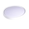 Etrogo LED Ceiling Light with Radar Motion Sensor and Twilight