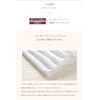 Nuance Disposable Cloth Napkins, Inlayable, Napkin Cover with Feathers, Trial