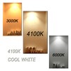 Accway (6 Pack) F8T5/CW 4100K 12’’ Linear Fluorescent Light Bulb,