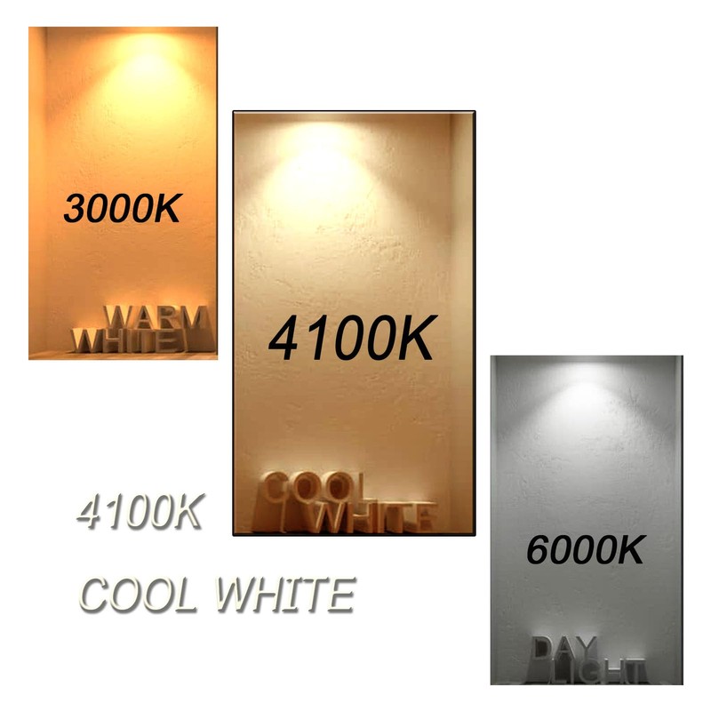 Accway (6 Pack) F8T5/CW 4100K 12’’ Linear Fluorescent Light Bulb,