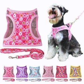 Moonpet Step in Air Dog Harness Leash Set- All Weather Reflective No-Pull Floral Pattern Padded Mesh Vest Harness for Cats Puppy Extra-Small Small Medium Large Dogs - Pink Flower - L