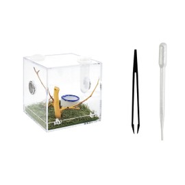 Spider Terrarium, spider cages and habitats Jumping Spider Enclosure with Dropper Tongs Snail cage, Cricket Enclosure arboreal Tarantula Habitat