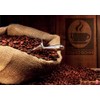 Bonini Coffee Pods, Dolce Gusto Compatible Coffee Pods/Capsules. 3 Pack