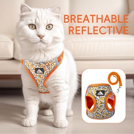 BT Bear Dog Harness and Lead Set,Daisy Flower Adjustable Soft No Pull Dog Vest Harness, Breathable Pet Harness for Cats Puppy Small Dogs(Orange,S)