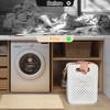 15L (4 Gallon) Compact Collapsible Laundry Basket - with Hanging