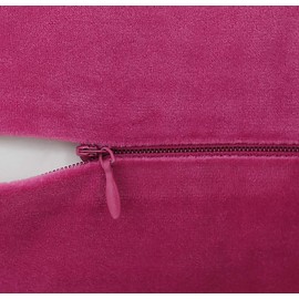 Jeneoo Set of 2 Comfy Soft Velvet Lumbar Throw Pillow Cases for Sofa Couch, Decorative Solid Rectangle Cushion Covers for Bedroom Car (12 x 20 Inches, Hot Pink)