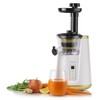 Omega Juicer Cold Press 365 Vertical 65 RPM Slow Masticating