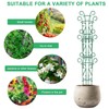 Qaobo Plant Trellis for Potted Plants 4 Pack Stackable Indoor