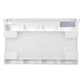 Pentair 516252Z Weir, White