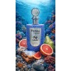 Luniche Fustaq L'ocean 100ml