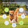 Altapets Colágeno para Perros - Premium Mobility Perro, Orgánico -