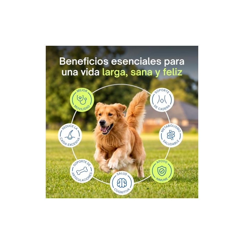 Altapets Colágeno para Perros - Premium Mobility Perro, Orgánico -