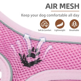 PUPTECK Soft Mesh Dog Harness and Leash Set Pet Puppy Cat Comfort Padded Vest No Pull Harnesses