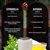 Eco Fuego Fire Pit Wax Refill – Biodegradable Vegetable Wax,