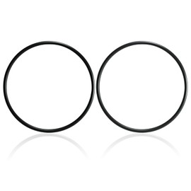 P6119 (P6119ASS16) O-Ring for Bestway Flowclear Pump Filter Cap Cover (2 Pack)