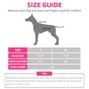 PUPTECK No Pull Dog Harness Soft Adjustable Basic Nylon Step