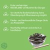 KleePura KleePura Bio Dünge Sticks für Topf- und Zimmerpflanzen, ca.