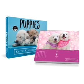 2023 Keith Kimberlin Puppies Day-at-a-Time Box Calendar
