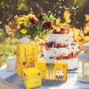 POUYRBA Surprise Gift Box Explosion with 12 Folding Bouncing Boxes