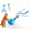 LEUCITE Interactive Cat Toys: Agile Moving Ball with Elastic Mesh
