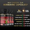 (3 Packs) Berberine Supplement Plus Ceylon Cinnamon, Milk Thistle, Turmeric,