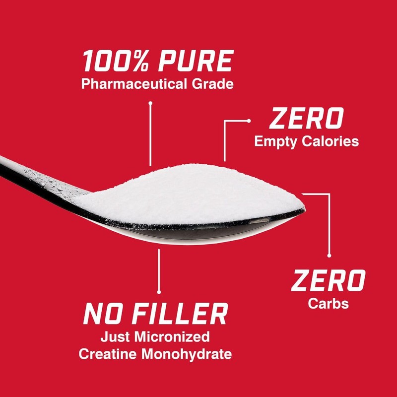 ProLab Nutrition Creatine Monohydrate Micronized Powder 1000G, Pure Creatine for