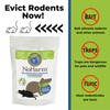 Advanced Rodent Control by NoHarm | Safe for Humans and