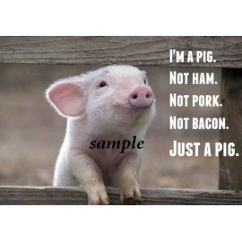 Unbranded FUNNY PIG HAM REFRIGERATOR LOCKER TOOL BOX MAGNET CHRISTMAS GAG GIFT MAN CAVE