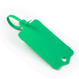 LeadSeals 100pcs Blank Plastic Tags for Labeling Reusable Hanging Tags Ties Key Tags Storage Tags Waterproof Plastic Mark Label Writable Hang Sign (Green)