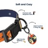 PawView Dog Collar & Leash Set with Smart ID Tag