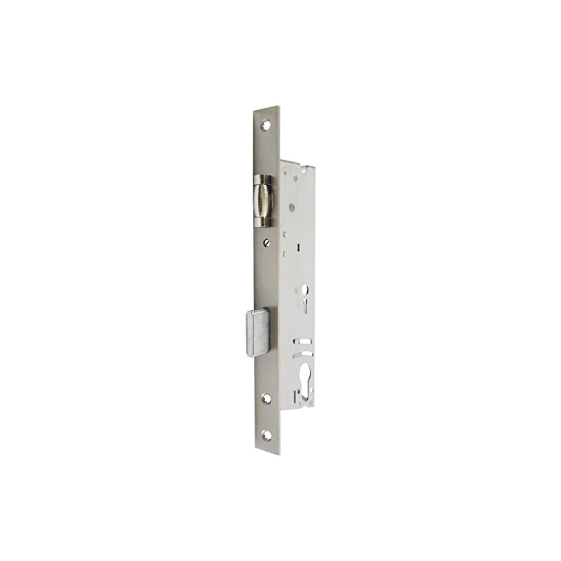 WSS Tubular Frame Lock (Mortice Lock) for Entrance and Swing