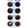 Magic Powder, 1.8 oz (50 g), Set of 3, Dark