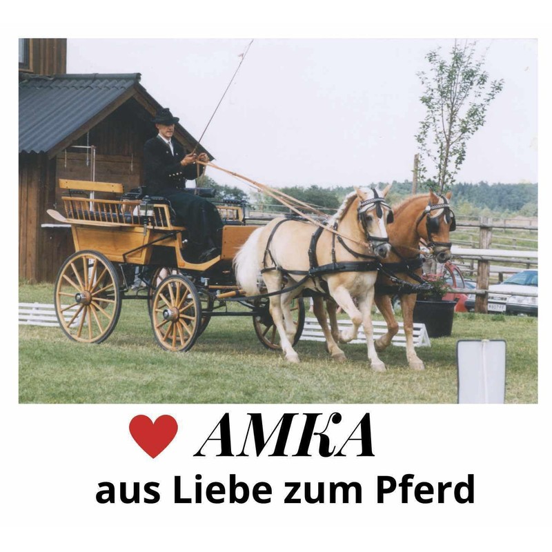 AMKA Leather driving gloves, carriage gloves with reinforcements for the